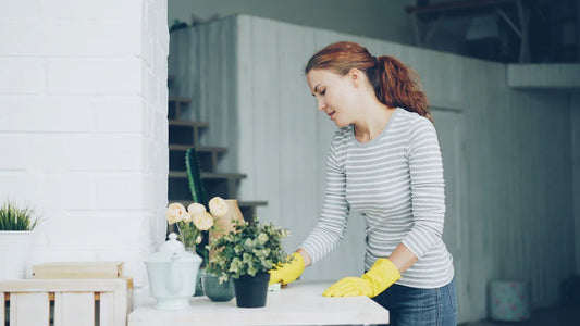How to Care for and Maintain Your Home Furniture