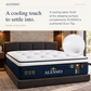 Vanzio Italia Alessio 12.5-Inch Firm Euro Top Mattress Grandeur Furnishings