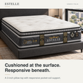 Vanzio Italia Estelle 14-Inch Pillow Top Pocket Spring Mattress Grandeur Furnishings