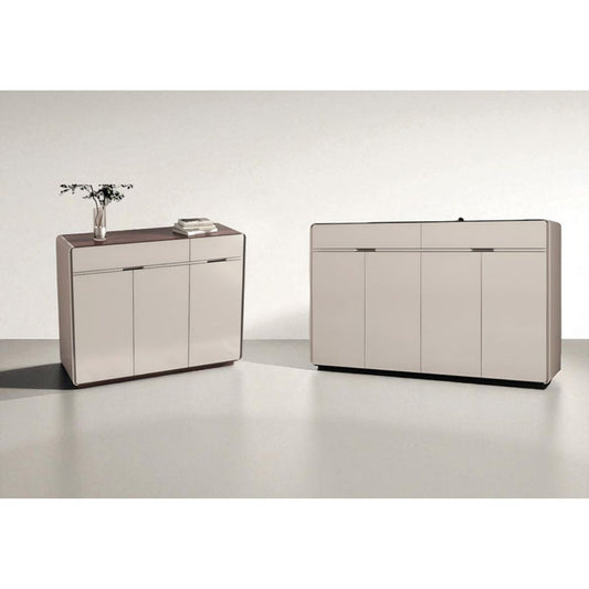 Shoe Cabinet with Wood Veneer Top