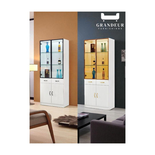 Modern Glass Display Cabinet with Storage